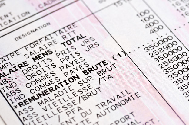 mise en place de la DSN image salaire