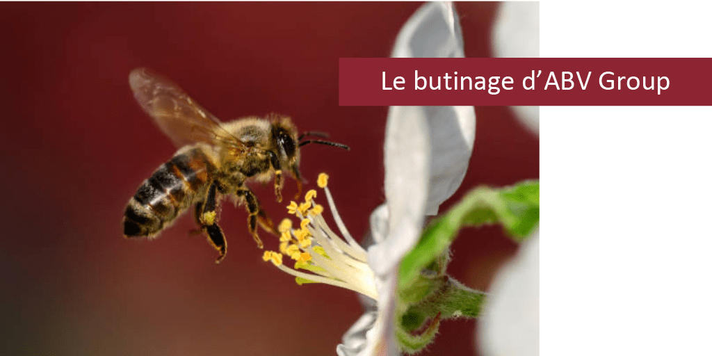 abv group actualite le butinage-2