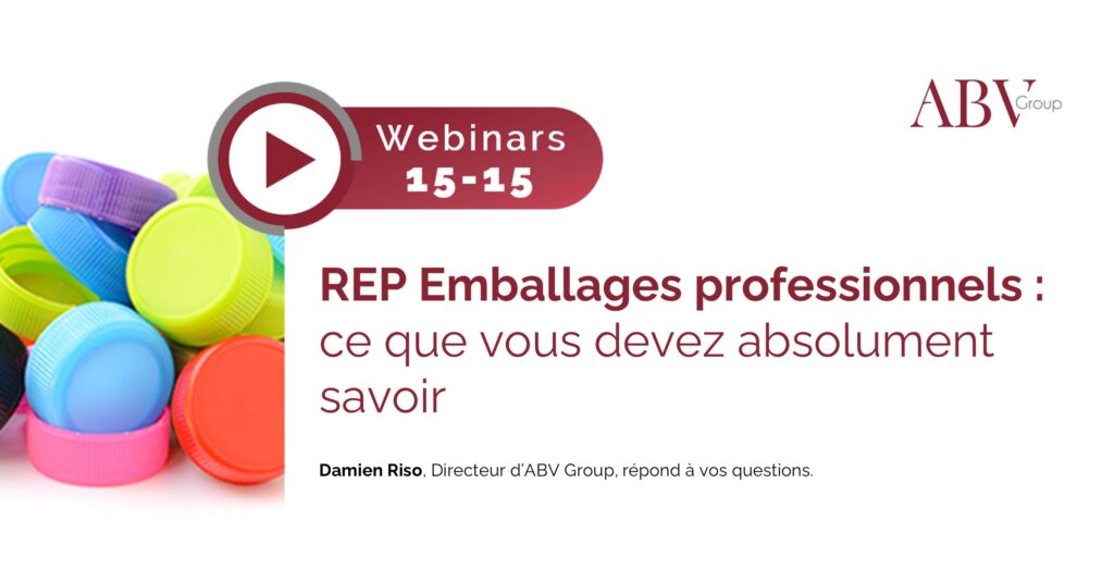 REP : ce que vous devez savoir